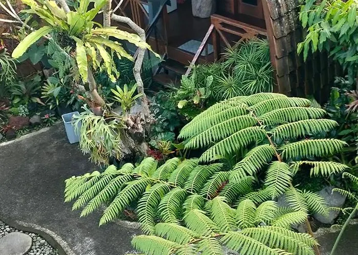 Budha Kunti *